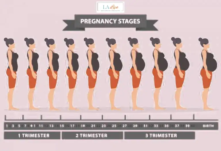 First Trimester (Weeks 1–12): Early Changes You Might Not Notice Chippenham